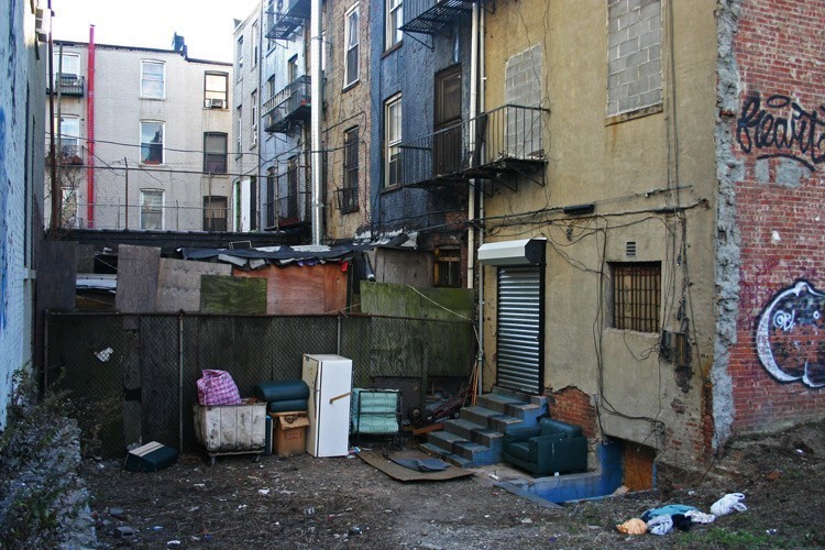 bronx-backyard.jpg