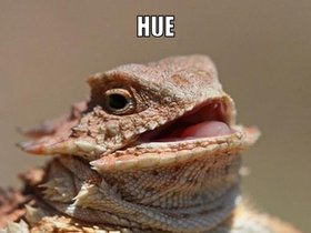 bth_lizard-meme-generator-hue-huehuehue-5cfd74.jpg