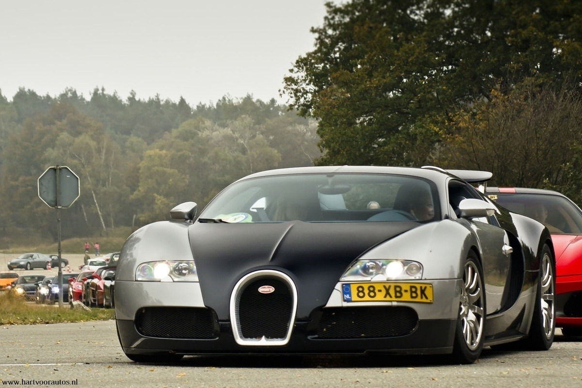 Bugatti-Veyron-www.hartvoorautos.nl_.jpg