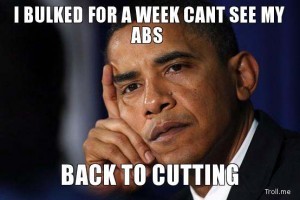 Bulking-Obama-300x200.jpg