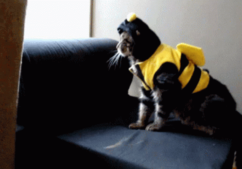 bumble-bees-fall.gif