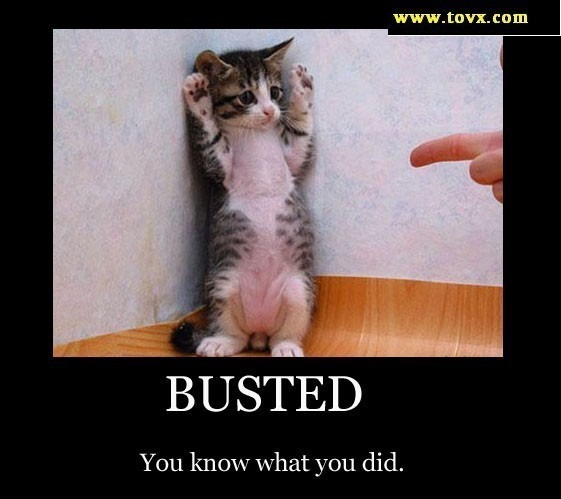 busted-motivational-poster.jpg