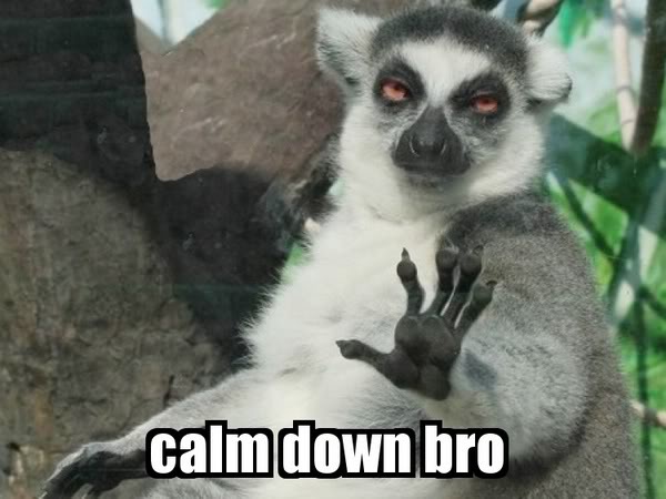 calm-down-bro.jpg