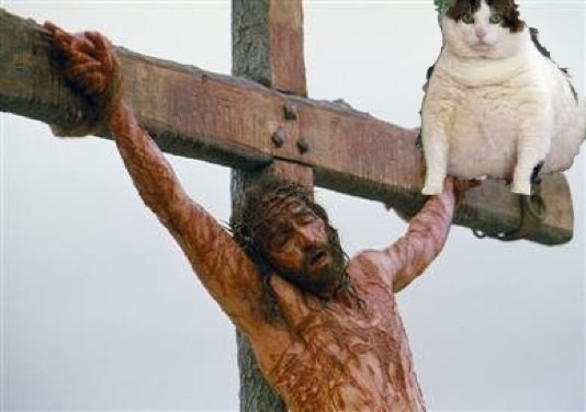 cat%20jesus.jpg