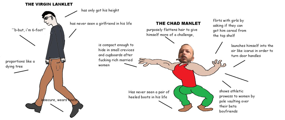 chad-manlet-meeuw.jpg