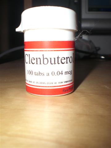 CIMG3677 (Small).JPG