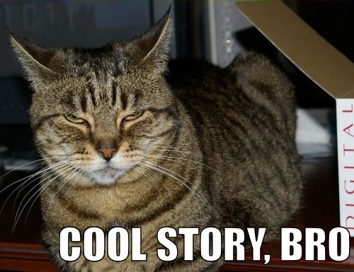 cool_story_bro_trollcat.jpg