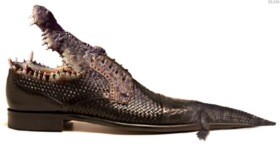 crocodile_shoes.jpg