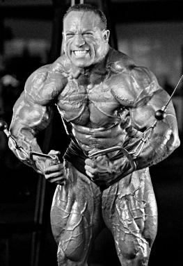 Dave_Palumbo_Bodybuilder_7_ezr.jpg