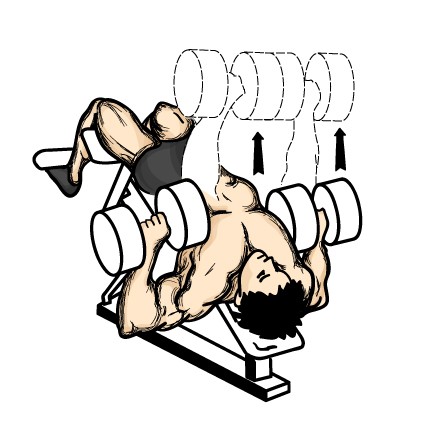 decline_dumbbell_press.jpg