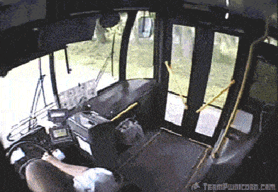 deer-takes-the-bus-gif.gif