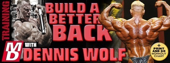 DENNIS-WOLF-BACK-sm.jpg