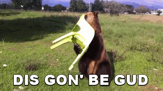Dis-Gun-Be-Gud-Bear-Chair.gif