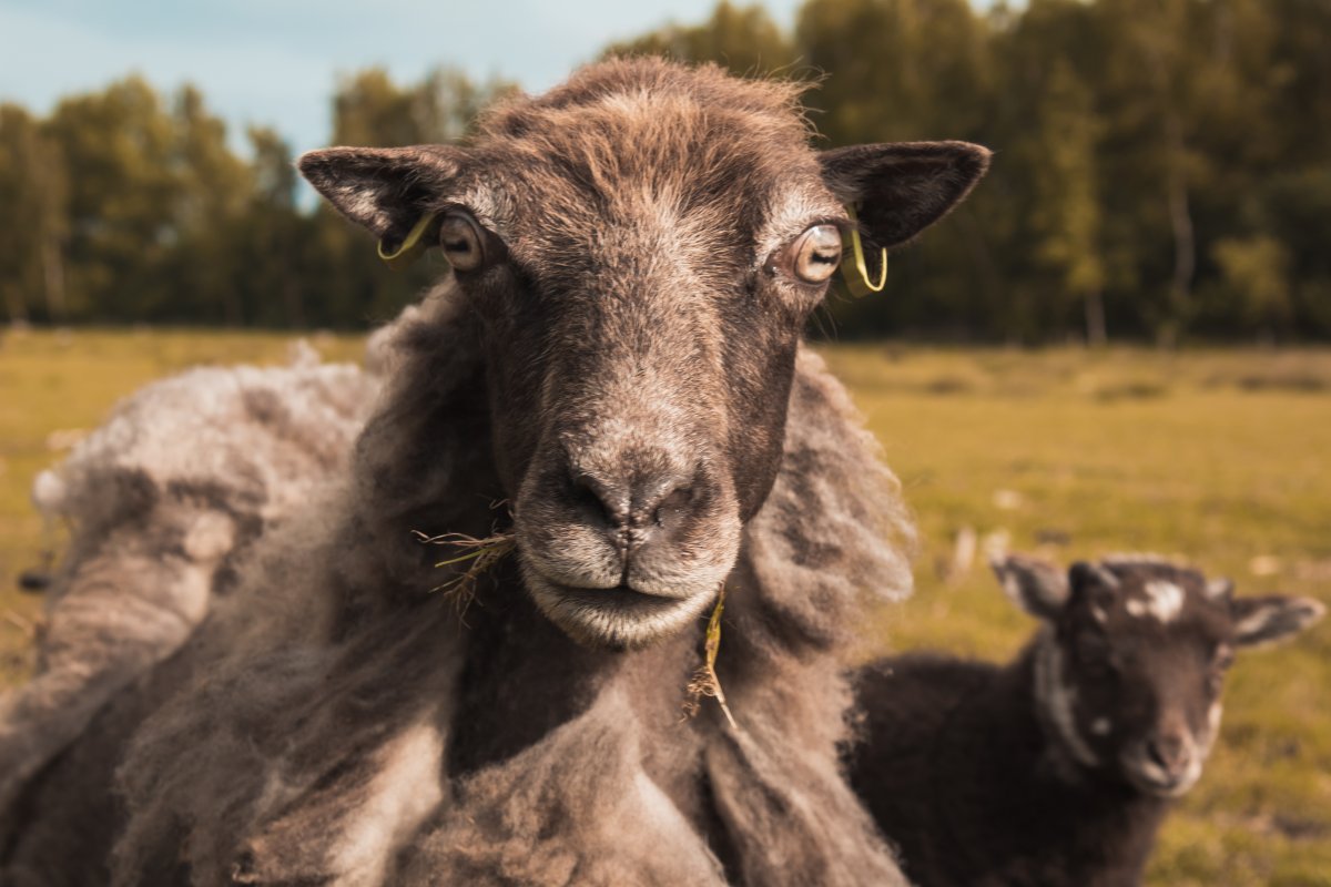 DJ 26-04 2 2 (1 van 1)-11.jpg