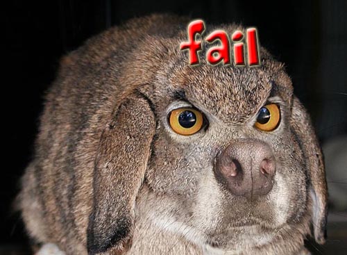 dog-owl-rabbit-fail.jpg