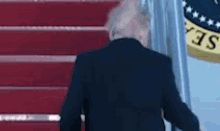 donald-trump-hair.gif