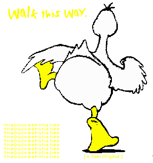 duckwalk.gif