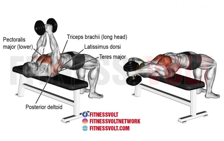 dumbbell-pullover-750x474.jpg