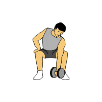 dumbbell_exercises_concentration_curls.gif.pagespeed.ce.rZ1BjVeMWS.gif