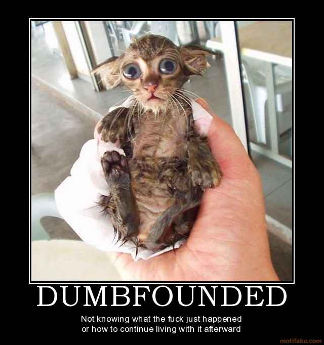 dumbfounded-demotivational-poster-1224858435.jpg