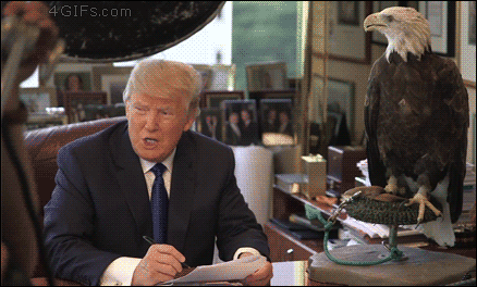 Eagle-hates-Donald-Trump.gif