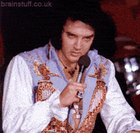 elvis.gif