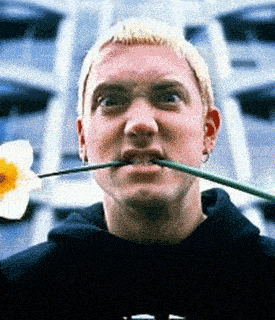 eminem.gif