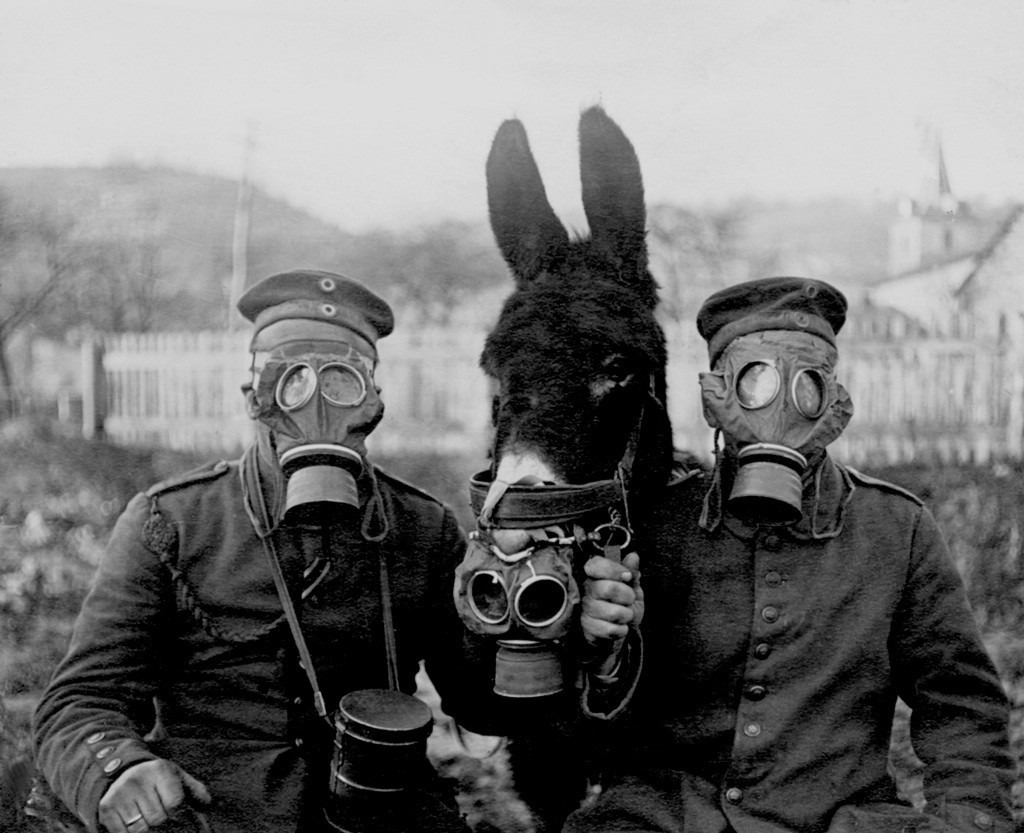 esel_soldaten_gasmasken_akg_2_m60_g1_1917.jpg