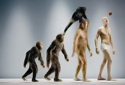 evolution.jpg