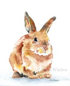 fa909b614d05d63493f6e68bb45465a1--watercolor-animals-watercolor-ideas.jpg
