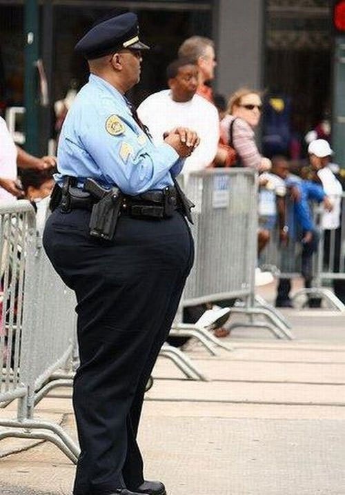 Fat-Cop-Fat_500x500.jpg