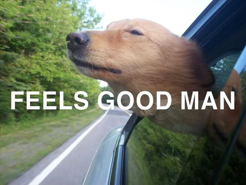 feelsgoodman.jpg