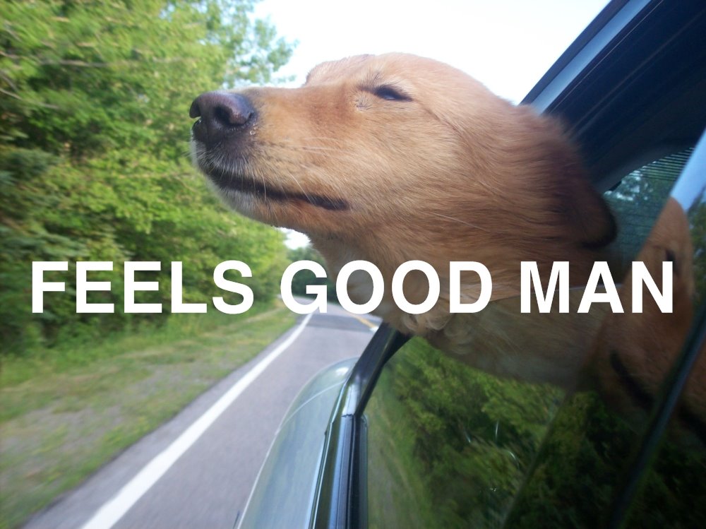 FEELSGOODMANDOG_zps017c8002.jpg