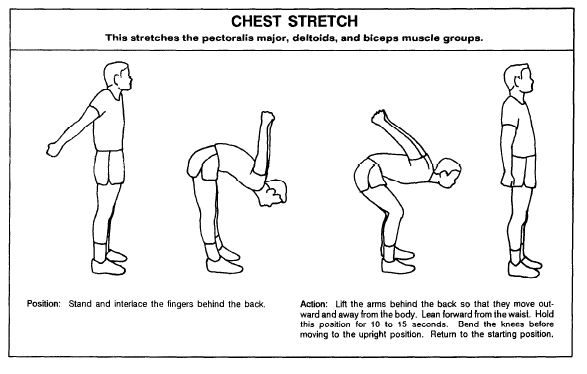 FLEX-chest-stretch.png