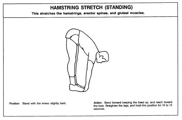 FLEX-hamstring-stretch-standing.png