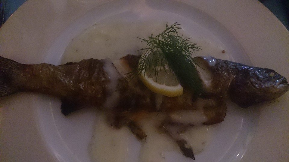 forel.jpg