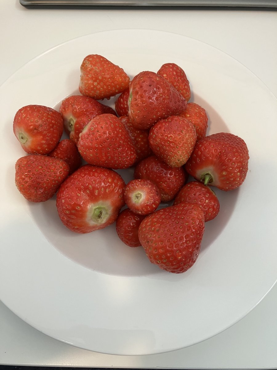 Foto 11-06-2022 19 44 24.jpg