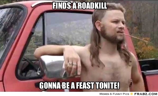 frabz-Finds-a-roadkill-Gonna-be-a-feast-tonite-d8c93f.jpg
