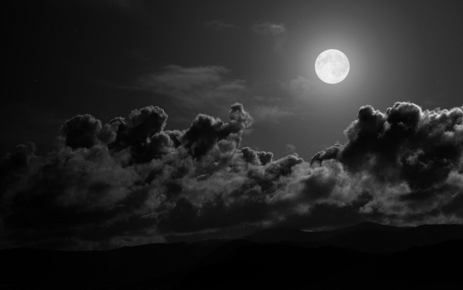 full-moon-night_tn2.jpg
