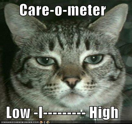 funny-pictures-care-o-meter-cat.jpg