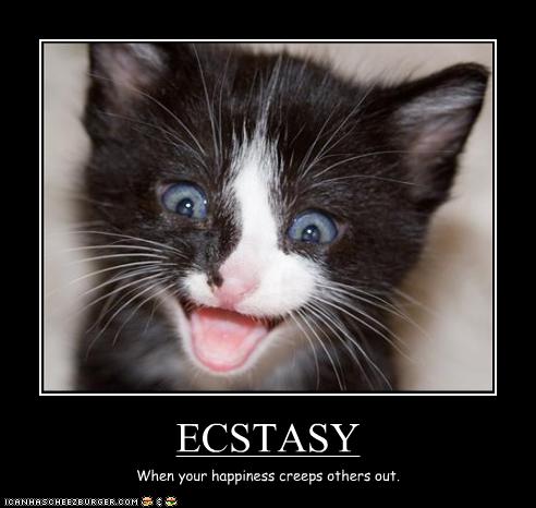 funny_pictures_kitten_is_too_happy-s492x466-31391.jpg