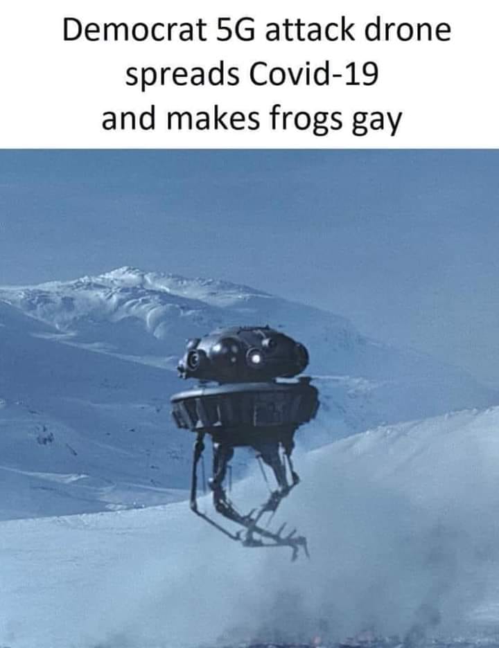 gayfrogs.jpg