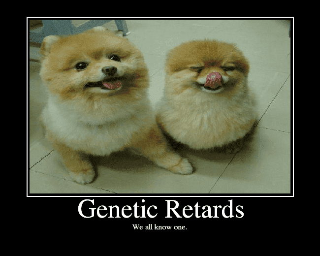 GeneticRetards.png