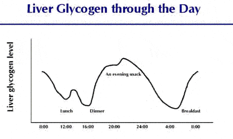 glycogen%20time%20curve.gif