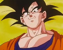goku24.jpg