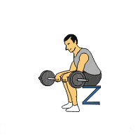 golf_weight_training_reverse_wrist_curl.gif