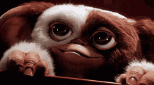 gremlins_film-1984_films.gif