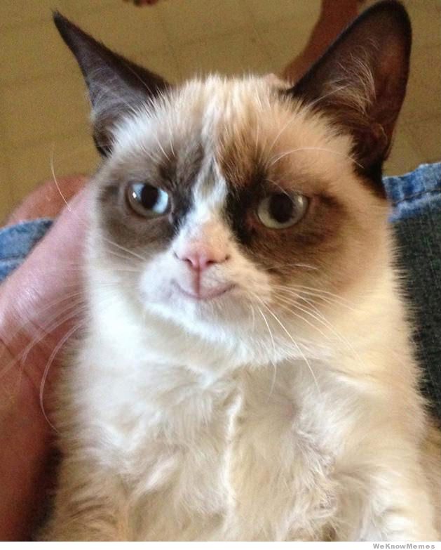 grumpy-cat-is-happy.jpg