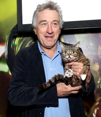 gty_robert_deniro_lil_bub_cat_ss-thg_130424_ssv.jpg