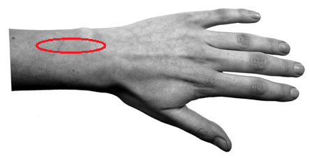 hand.png